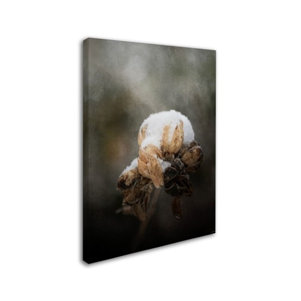 Jai Johnson 'Waiting On Spring' Canvas Art,24x32